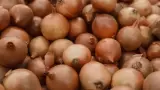 Cebolla