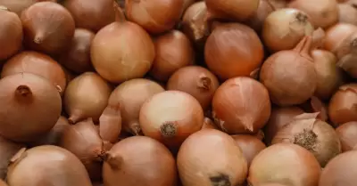 Cebolla