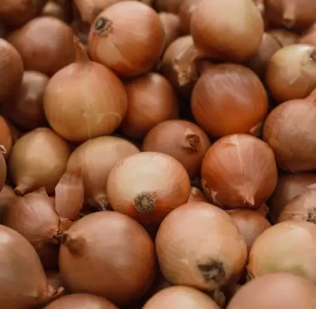 Cebolla