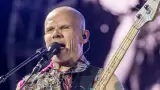 Flea