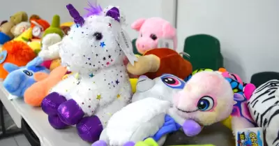 Peluches donados durante la Feria del Condado de San Diego
