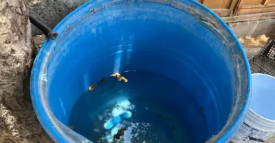 Escasez de agua