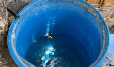 Escasez de agua