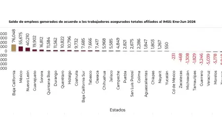 Baja California registr� la mayor generaci�n de empleo formal del pa�s.