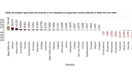 Baja California registr� la mayor generaci�n de empleo formal del pa�s.