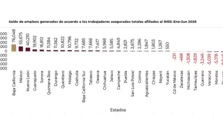 Baja California registr� la mayor generaci�n de empleo formal del pa�s.