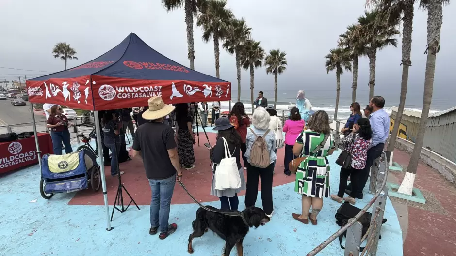 Ambientalistas piden incluir contaminaci�n del R�o Tijuana en revisi�n del T-MEC