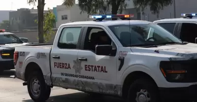 Fuerza Estatal