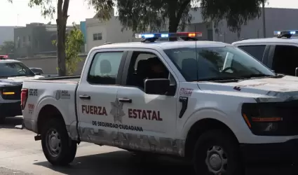 Fuerza Estatal