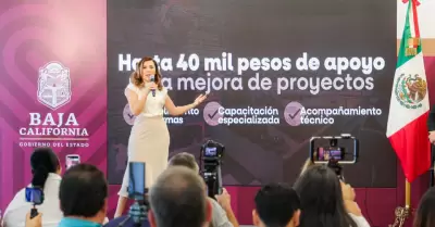 Abren convocatoria para apoyar a emprendedores agroalimentarios con hasta 40 mil
