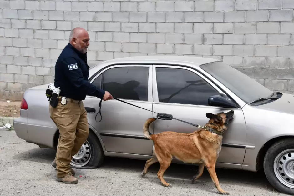 Unidad K-9 de la Fiscal�a de Baja California obtiene certificaci�n internacional