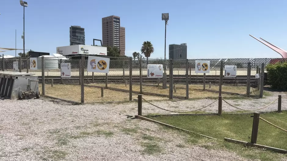 Recuperan antiguo Galgódromo de Tijuana como espacio para actividades caninas