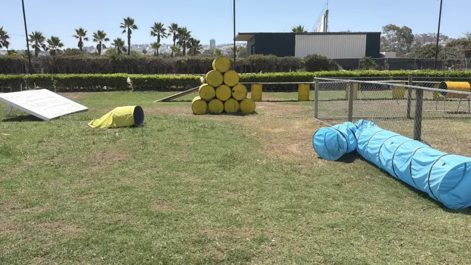 Recuperan antiguo Galgódromo de Tijuana como espacio para actividades caninas