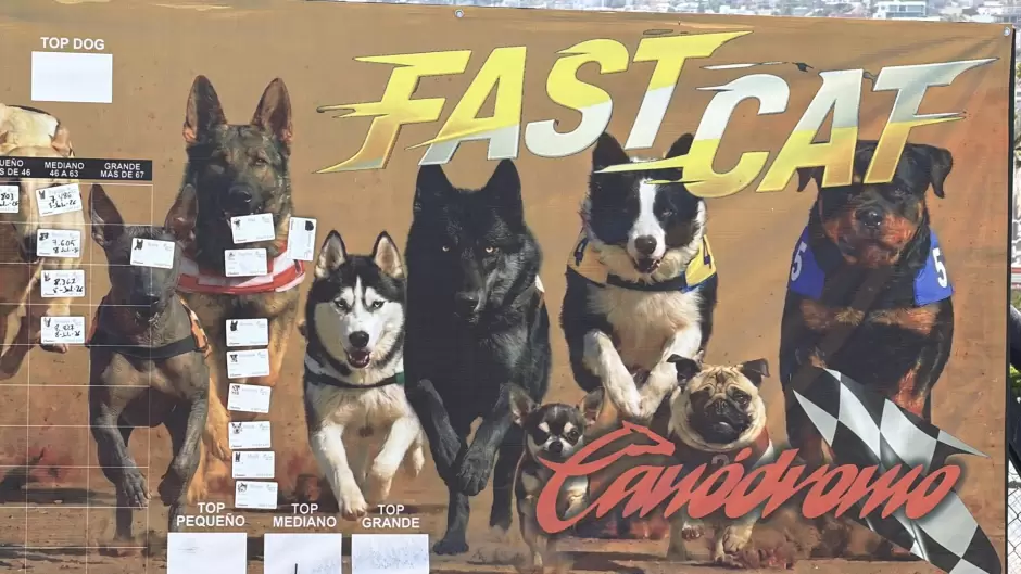 Recuperan antiguo Galgódromo de Tijuana como espacio para actividades caninas