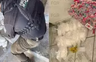 En cateo, FGR y PFM aseguran m�s de 39 kilos de metanfetamina en Tijuana