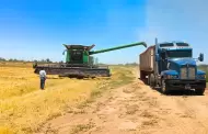 Llama AGRICULTURA a productores a actualizar expedientes del programa Producci�n para el Bienestar en BC