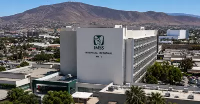 IMSS BC
