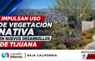 Impulsan uso de vegetaci�n nativa en nuevos desarrollos de Tijuana