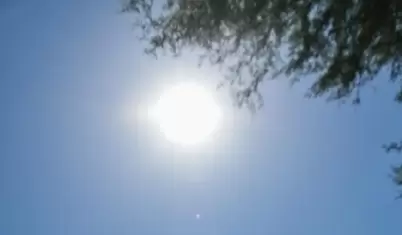 Calor
