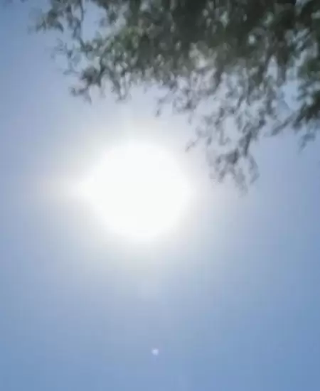 Calor