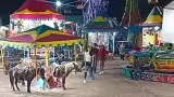 Poni
