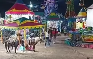 VIDEO �Indignaci�n! Joven patea a poni en la cabeza y huye riendo