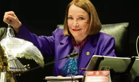 Senado