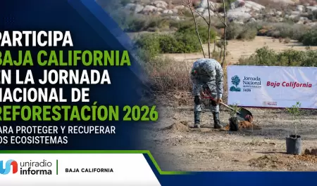 Participa BC en la Jornada Nacional de Reforestaci�n 2026.