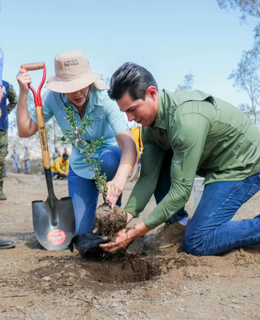 Participa BC en la Jornada Nacional de Reforestaci�n 2026.