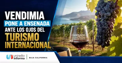 Destacan que Vendimia pone a Ensenada ante los ojos del turismo internacional.