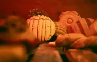 Pan dulce mexicano recibe reconocimiento como Patrimonio Cultural Inmaterial en CDMX