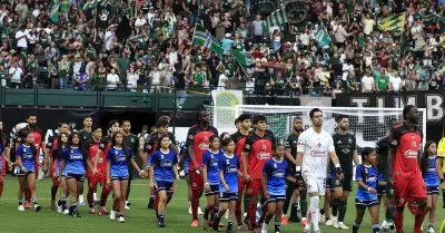 Xolos