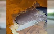 CBP incauta m�s de mil libras de coca�na en Calexico