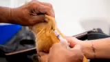 .