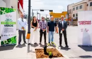 Gobierno de Claudia Agat�n pone en marcha el primer corredor de infraestructura verde en la calle Ju�rez