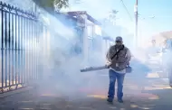 Baja California se mantiene libre de dengue, zika y chikungunya