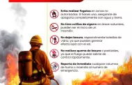 Refuerza Bomberos de Ensenada combate de incendio forestal en Sierra de Ju�rez