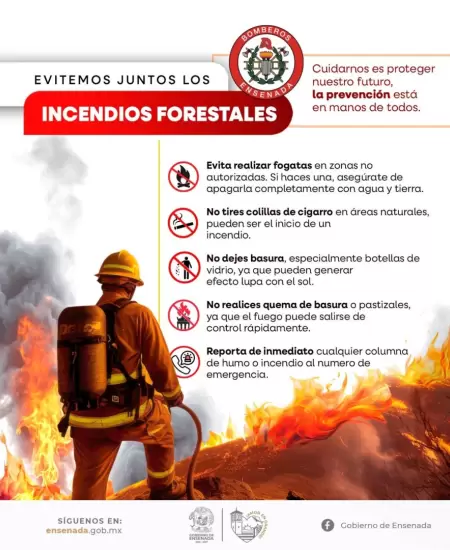 Refuerzan combate de incendio forestal en Sierra de Ju�rez.