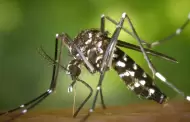 El condado fumigar� las zonas afectadas contra los mosquitos para reducir el riesgo de contagio del virus del Nilo Occidental