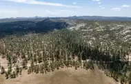 "Lo que llevas al bosque, regresa contigo": limpian el Parque Nacional Constituci�n 1857