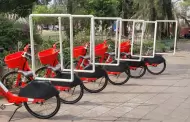 VIDEO.- Rescatan 500 bicicletas en festival Burning Man para donarlas a migrantes y madres buscadoras de Tijuana
