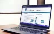 Promociones en l�nea, consulta de expedientes, acuerdos a trav�s del Tribunal Electr�nico de Baja California