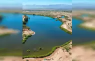 El sistema lagunar en Mexicali est� un paso m�s cerca de ser �rea natural protegida: secretar�a de medio ambiente