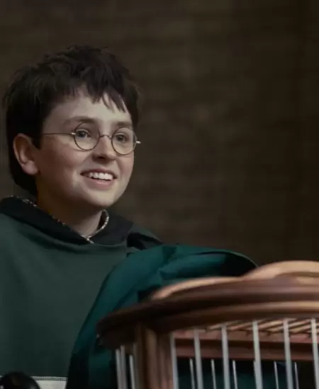 Harry Potter