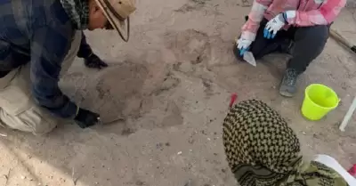 Viesca, Coahuila
