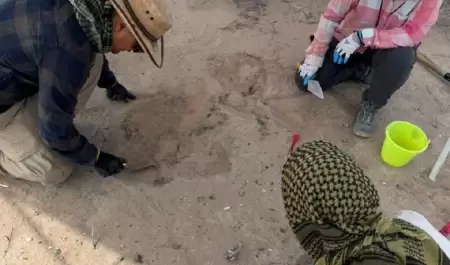 Viesca, Coahuila