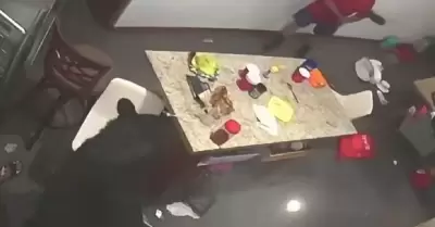Oso