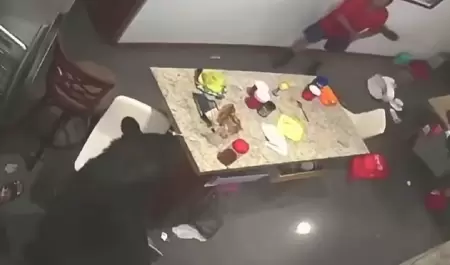 Oso