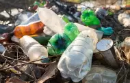 Biopl�sticos, una alternativa para reducir el impacto ambiental, explica experta de Cetys