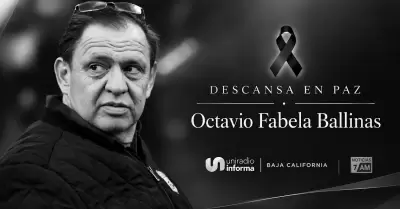 Octavio Fabela